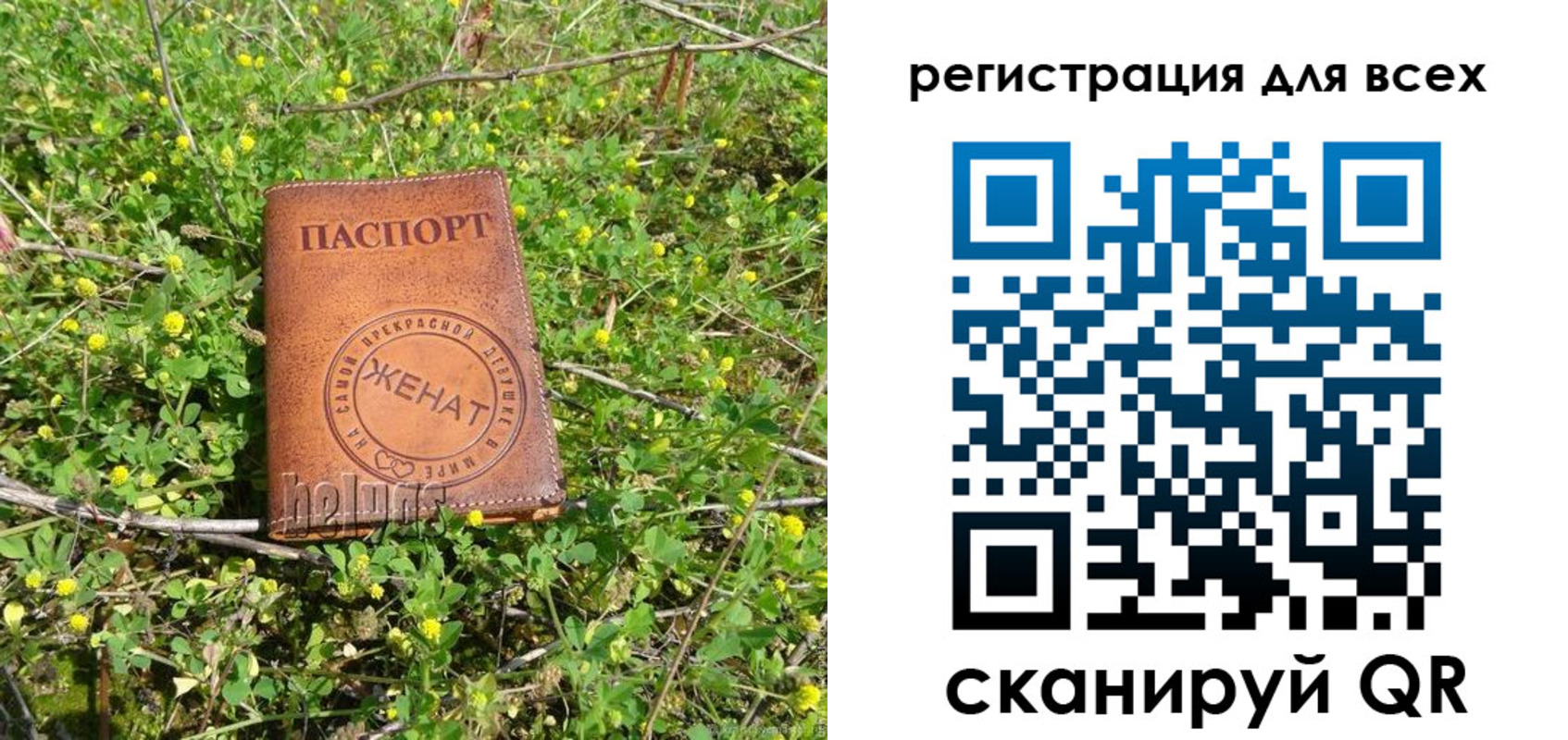 прописка регистрация в Тосно
